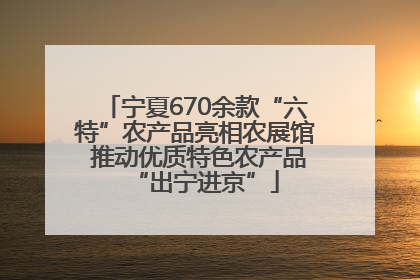 宁夏670余款“六特”农产品亮相农展馆 推动优质特色农产品“出宁进京”