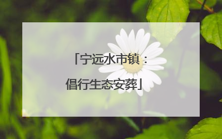 宁远水市镇：倡行生态安葬
