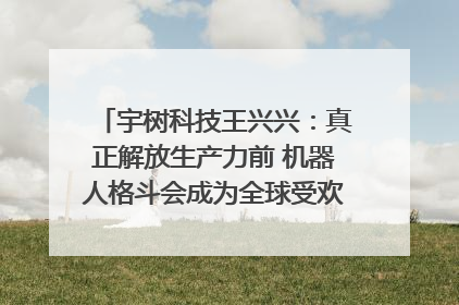 宇树科技王兴兴：真正解放生产力前 机器人格斗会成为全球受欢迎的赛事｜科技观察