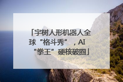 宇树人形机器人全球“格斗秀”，AI“拳王”硬核破圈