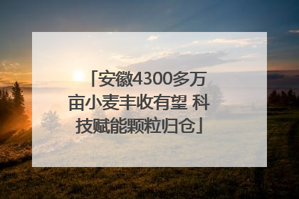安徽4300多万亩小麦丰收有望 科技赋能颗粒归仓