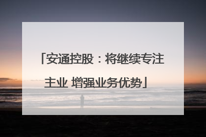 安通控股：将继续专注主业 增强业务优势
