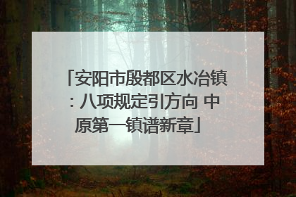 安阳市殷都区水冶镇：八项规定引方向 中原第一镇谱新章