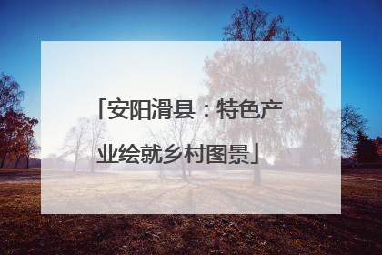 安阳滑县：特色产业绘就乡村图景