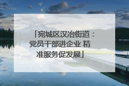 宛城区汉冶街道：党员干部进企业 精准服务促发展