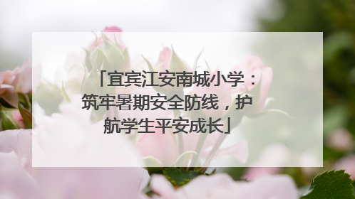 宜宾江安南城小学：筑牢暑期安全防线，护航学生平安成长