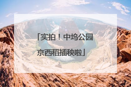 实拍！中坞公园京西稻插秧啦