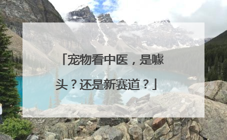 宠物看中医，是噱头？还是新赛道？