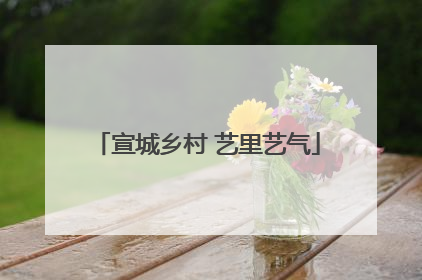 宣城乡村 艺里艺气