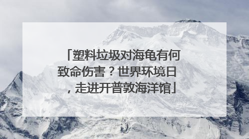 塑料垃圾对海龟有何致命伤害？世界环境日，走进开普敦海洋馆