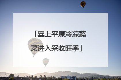 塞上平原冷凉蔬菜进入采收旺季