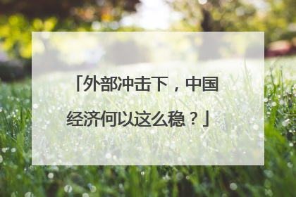 外部冲击下，中国经济何以这么稳？