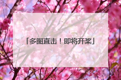 多图直击！即将开桨