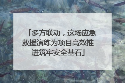 多方联动，这场应急救援演练为项目高效推进筑牢安全基石