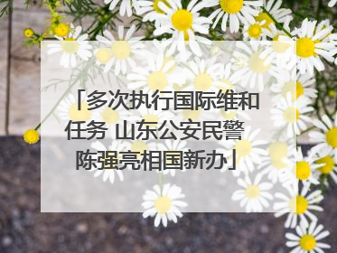 多次执行国际维和任务 山东公安民警陈强亮相国新办