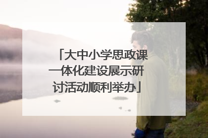 大中小学思政课一体化建设展示研讨活动顺利举办