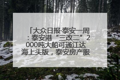 大众日报·泰安一周：泰安港“三改二”2000吨大船可通江达海上头版，泰安房产服务改革经验全省推广