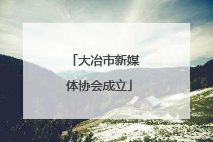 大冶市新媒体协会成立