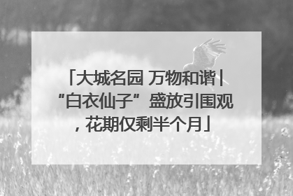 大城名园 万物和谐│“白衣仙子”盛放引围观，花期仅剩半个月