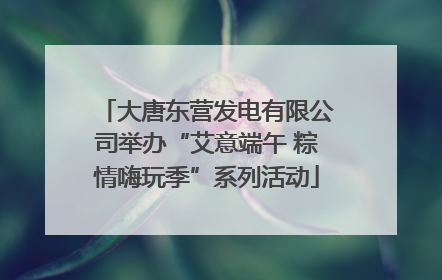 大唐东营发电有限公司举办“艾意端午 粽情嗨玩季”系列活动