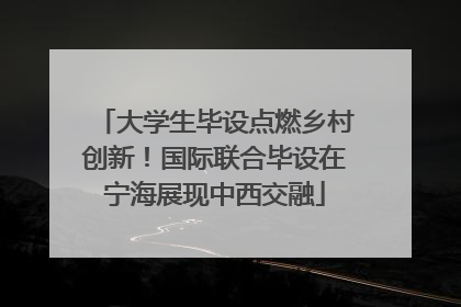 大学生毕设点燃乡村创新！国际联合毕设在宁海展现中西交融