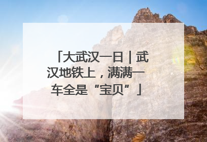 大武汉一日｜武汉地铁上，满满一车全是“宝贝”