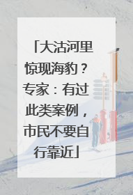 大沽河里惊现海豹？专家：有过此类案例，市民不要自行靠近