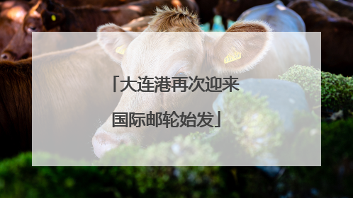大连港再次迎来国际邮轮始发