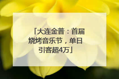 大连金普：首届烧烤音乐节，单日引客超4万