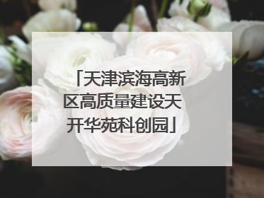 天津滨海高新区高质量建设天开华苑科创园