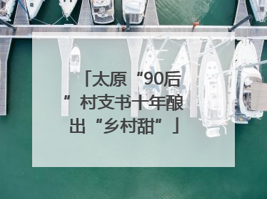 太原“90后”村支书十年酿出“乡村甜”