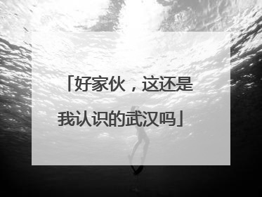好家伙，这还是我认识的武汉吗