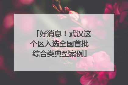 好消息！武汉这个区入选全国首批综合类典型案例