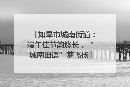 如皋市城南街道：端午佳节韵悠长，“城南田语”梦飞扬
