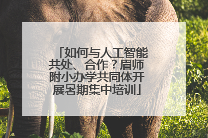 如何与人工智能共处、合作？眉师附小办学共同体开展暑期集中培训