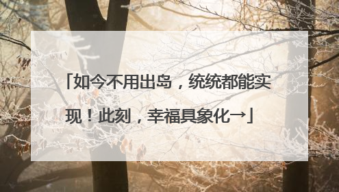 如今不用出岛，统统都能实现！此刻，幸福具象化→