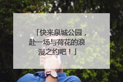 快来泉城公园，赴一场与荷花的浪漫之约吧！