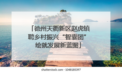 德州天衢新区赵虎镇聘乡村振兴“智囊团” 绘就发展新蓝图