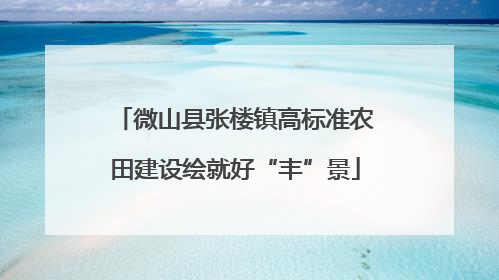 微山县张楼镇高标准农田建设绘就好“丰”景