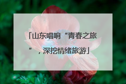 山东唱响“青春之旅”，深挖情绪旅游