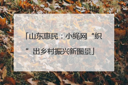 山东惠民：小绳网“织”出乡村振兴新图景