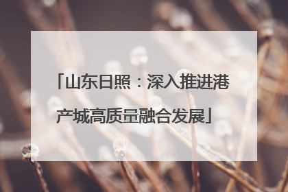 山东日照：深入推进港产城高质量融合发展