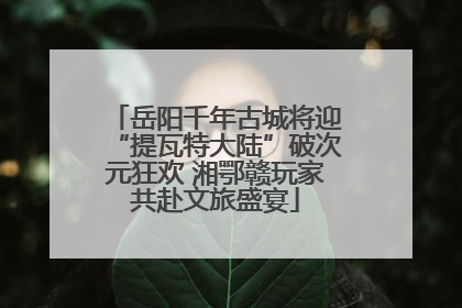 岳阳千年古城将迎“提瓦特大陆”破次元狂欢 湘鄂赣玩家共赴文旅盛宴