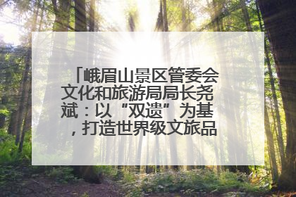 峨眉山景区管委会文化和旅游局局长尧斌：以“双遗”为基，打造世界级文旅品牌与国际典范
