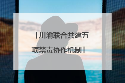 川渝联合共建五项禁毒协作机制