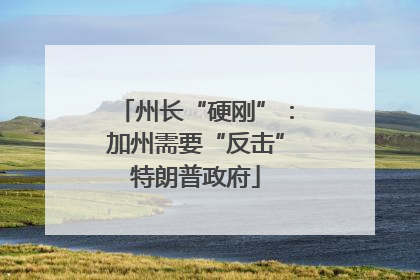 州长“硬刚”：加州需要“反击”特朗普政府