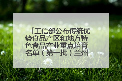 工信部公布传统优势食品产区和地方特色食品产业重点培育名单（第一批）兰州牛肉拉面位列其中