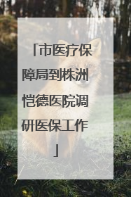 市医疗保障局到株洲恺德医院调研医保工作