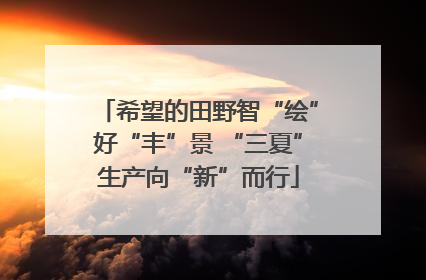 希望的田野智“绘”好“丰”景 “三夏”生产向“新”而行