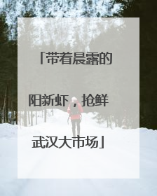 带着晨露的阳新虾，抢鲜武汉大市场